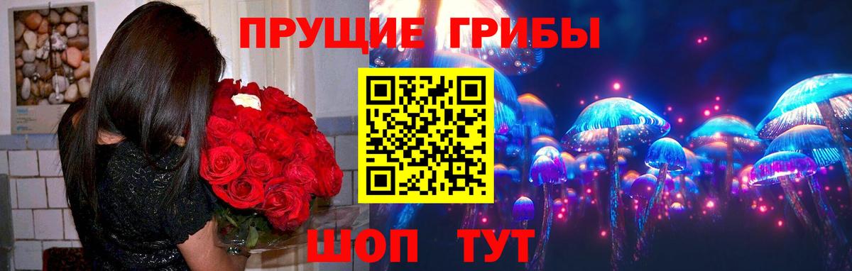 Гурьевск  Галлюциногенные грибы Cubensis  Вход с VPN 